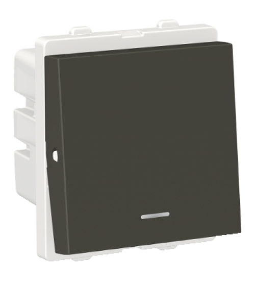 CPX32DP2M_GY- Clipsal X Double pole switch 32A 2 modules with indicator lamp coke grey - Schneider Electric